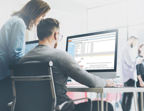 ERP/CRM Development